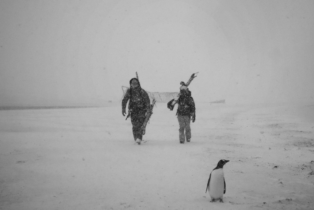 Torah Bright and a penguin in Antarctica
